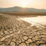 Ya no es potable el agua de lluvia en ninguna parte del mundo: estudio científico