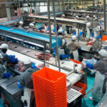 Crea Agricultura Comisión Sectorial de Normalización Agroalimentaria y sus funciones