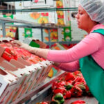 Buscan México e Irlanda una balanza equitativa en comercio agroalimentario