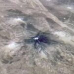La NASA observa sales minerales y compuestos orgánicos en Ganímedes