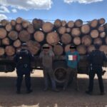 Asegura SSPE camión con carga derivada de la tala ilegal en Ignacio Zaragoza