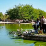 Podrían retirar la tortuga gigante del Parque Central de Juárez