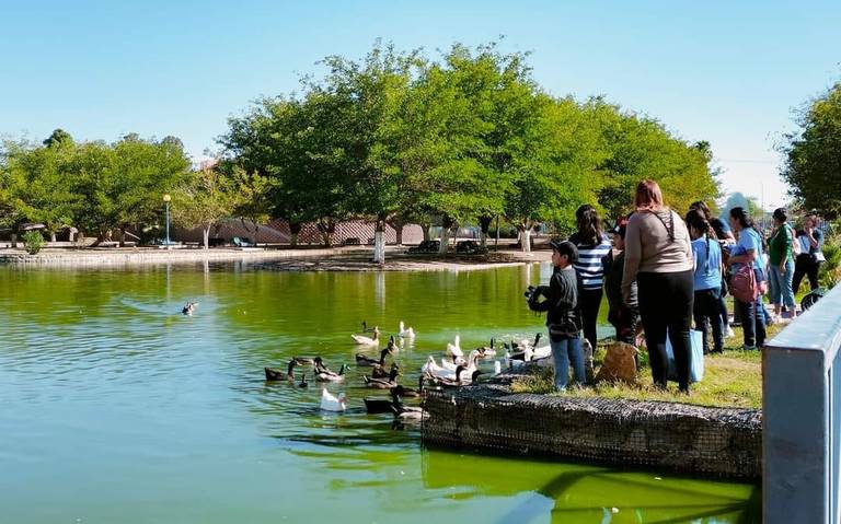 Podrían retirar la tortuga gigante del Parque Central de Juárez