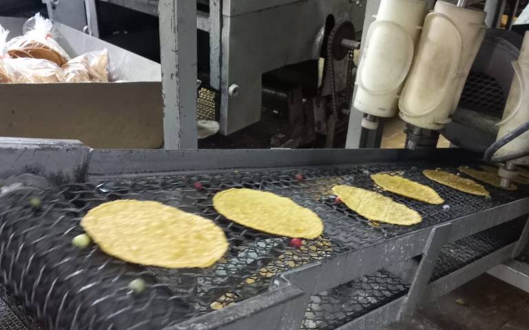 Descartan aumento de precio del kilo de tortillas en Juárez