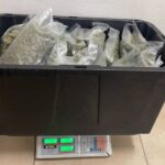 Incautó FGE 665 kilos de mariguana en 2023