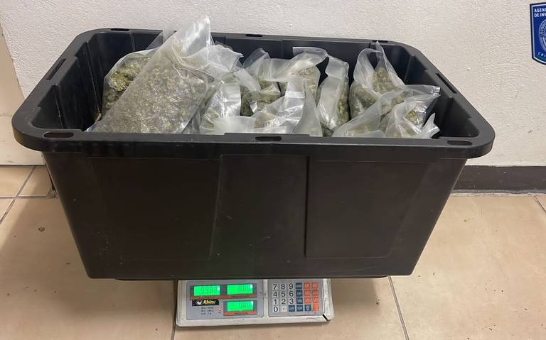 Incautó FGE 665 kilos de mariguana en 2023