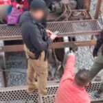 Sonora: INM rescata a 35 migrantes que viajan en vagones de tren