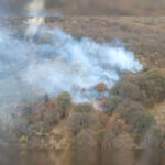 Por tierra y aire se combate incendio forestal en el cerro del Águila, en Morelia