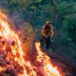Uruapan: Brigadistas municipales inician primera fase de quemas controladas en el Cerro de la Cruz