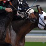 Los torneos más destacados de carreras de caballos