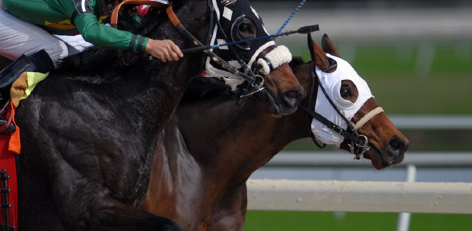 Los torneos más destacados de carreras de caballos