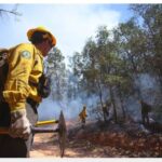 Hay seis incendios forestales activos en dos municipios de la Sierra, según la Conafor