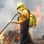Hay 13 incendios forestales activos en el estado de Chihuahua