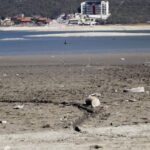 En el futuro la alerta no será por sequías, sino por aridez o desertificación: experto