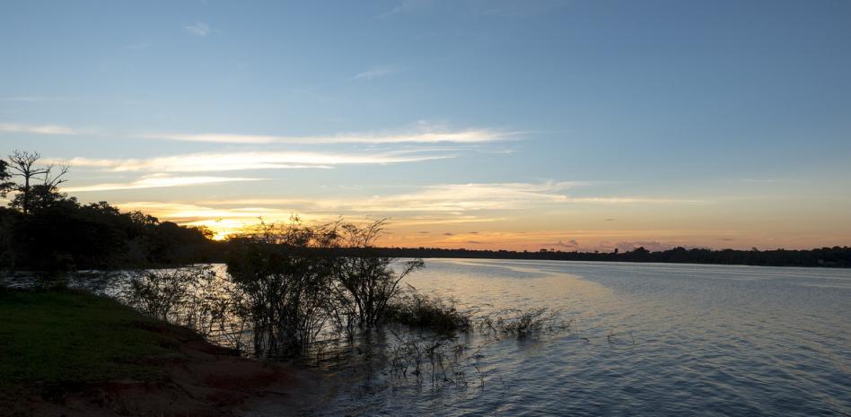 Los principales ríos de la Amazonía brasileña están en sus mínimos históricos
