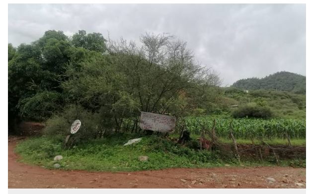 Identifican a los cuatro asesinados en La Trampa, Guadalupe y Calvo; dos eran menores