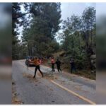 Primera tormenta invernal causa estragos en algunos municipios