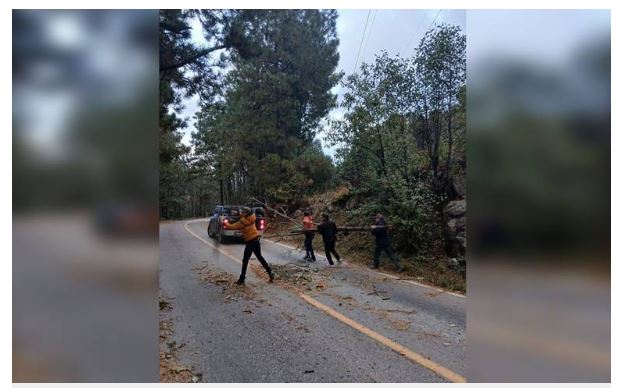 Primera tormenta invernal causa estragos en algunos municipios