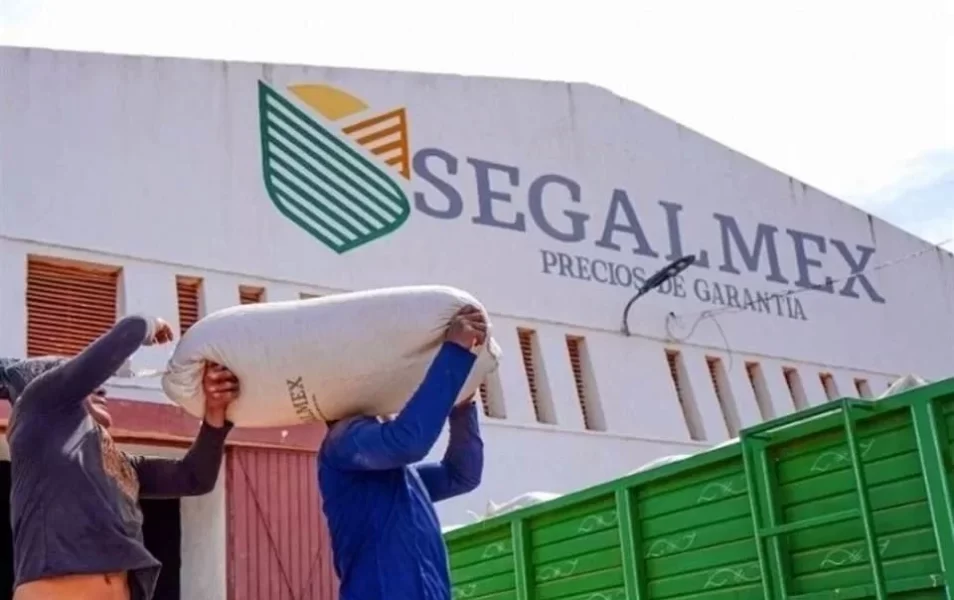 Desaparecen Segalmex; lo meterán a Diconsa