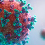 Descartan que nuevo coronavirus en murciélagos se transmita a humanos