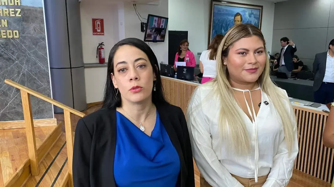 Anuncia diputada América Aguila la disolución del grupo parlamentario del PT en Congreso