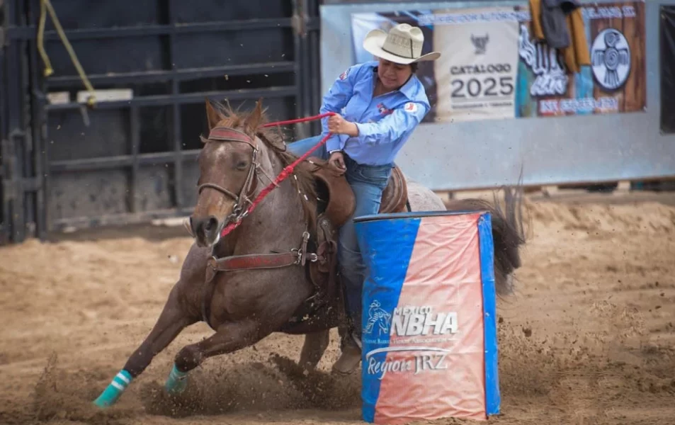 web-rodeo-E8XihxyTD thumbnail
