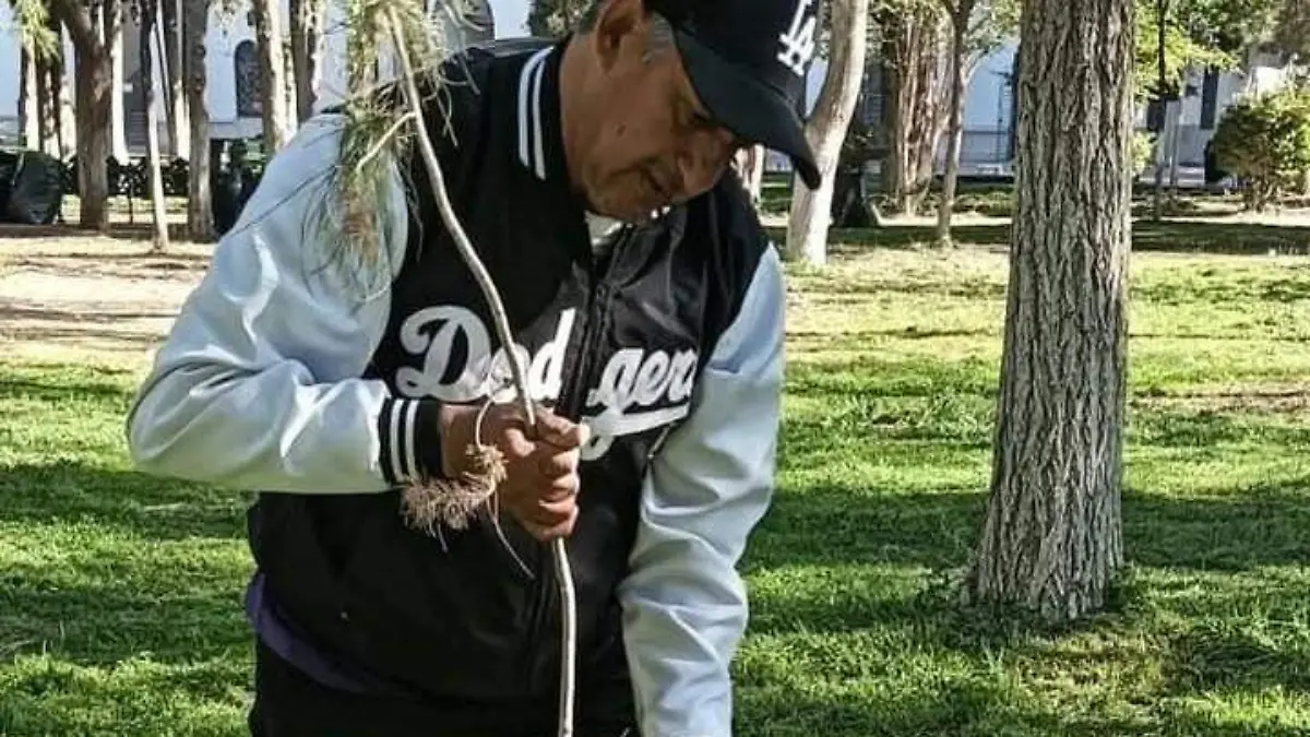 Reforesta Corazón Verde CUU la Deportiva Pistolas Meneses