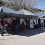 Atención a las causas, Juárez por la Paz