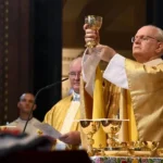 El cardenal Erdo es uno de los favoritos para convertirse en Papa