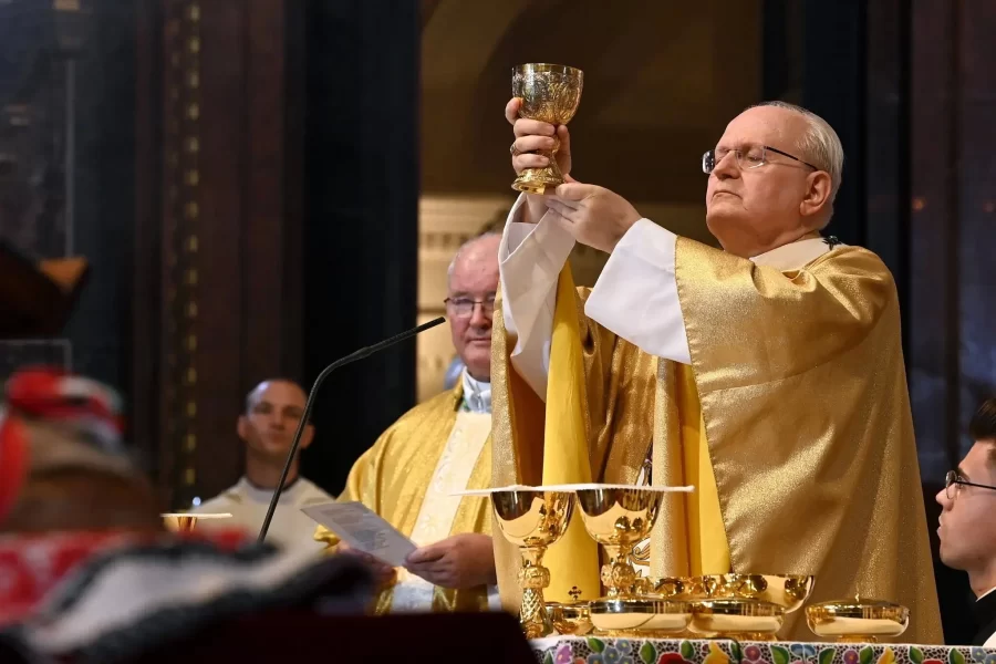 El cardenal Erdo es uno de los favoritos para convertirse en Papa