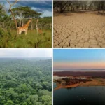 Hace 70 mil años algo cambió en los humanos… y conquistamos el mundo
