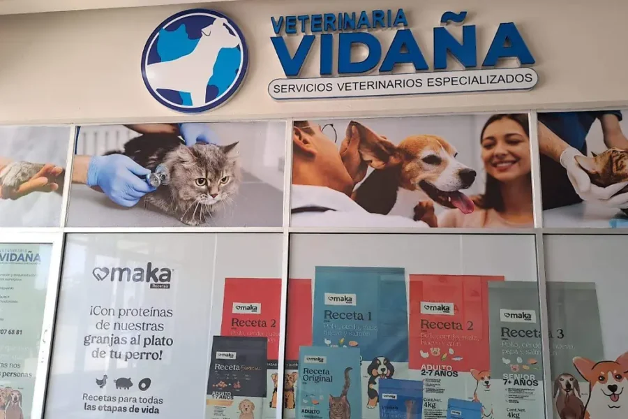 ¡Serpientes e iguanas! Crece la tendencia de reptiles como mascotas en Ciudad Juárez