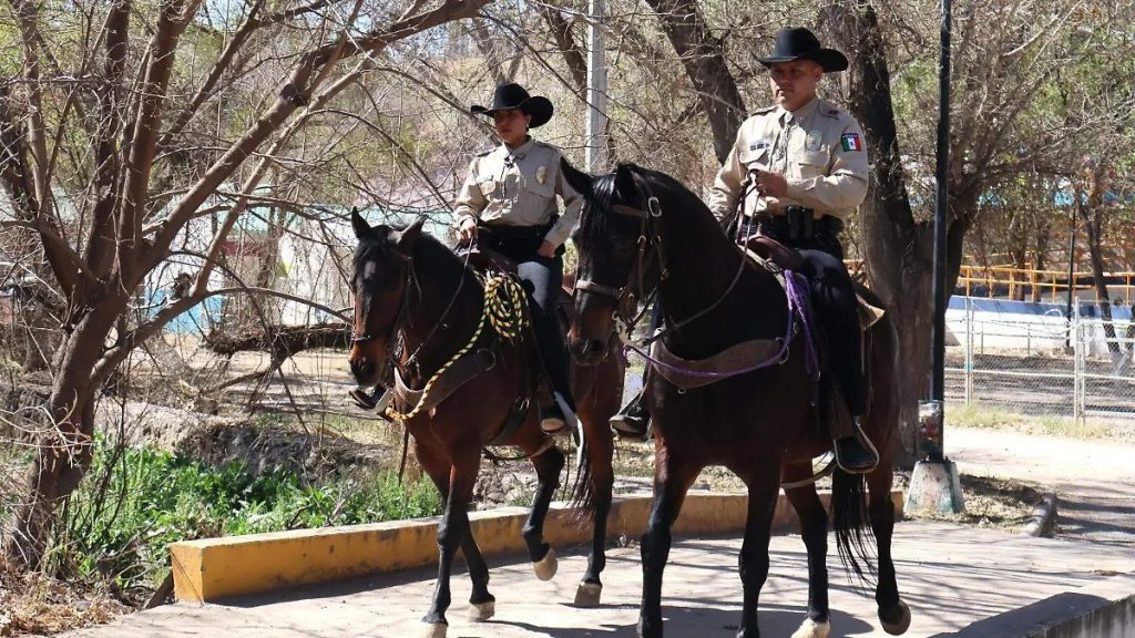Policía Montada Charlys llevan la seguridad en zonas de difícil acceso en Chihuahua capital thumbnail